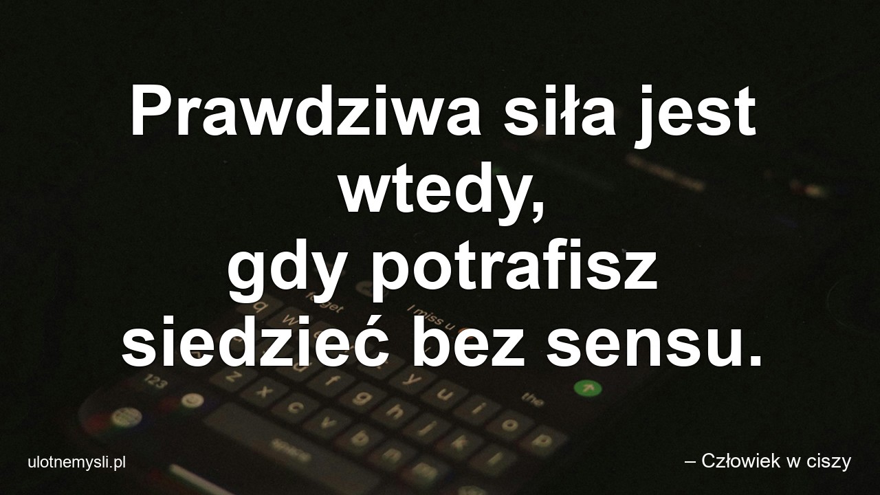 Prawdziwa siła jest wtedy,  gdy potrafisz siedzieć bez sensu. - – Człowiek w ciszy