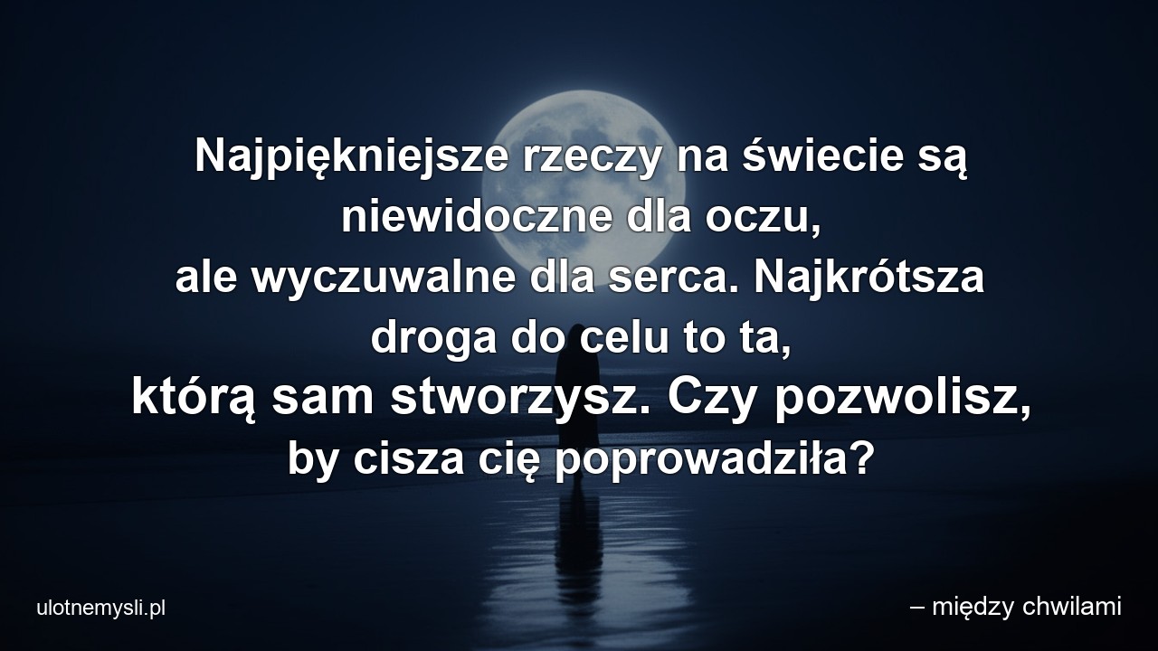 Najpiękniejsze rzeczy na świecie są niewidoczne dla oczu,  ale wyczuwalne dla serca. Najkrótsza droga do celu to ta,  którą sam stworzysz. Czy pozwolisz,  by cisza cię poprowadziła? - – między chwilami