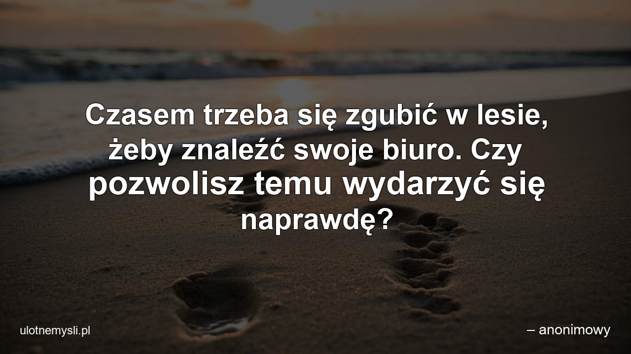 Czasem trzeba się zgubić w lesie,  żeby znaleźć swoje biuro. Czy pozwolisz temu wydarzyć się naprawdę?