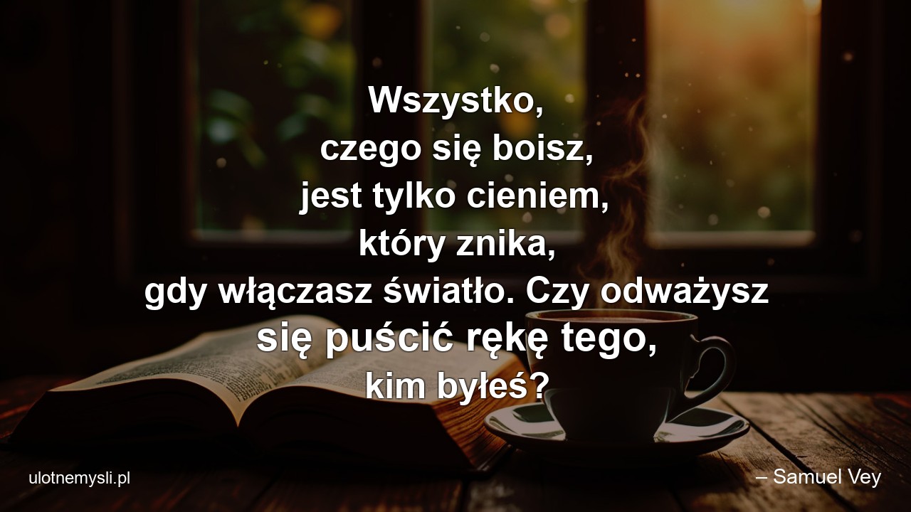 Wszystko,  czego się boisz,  jest tylko cieniem,  który znika,  gdy włączasz światło. Czy odważysz się puścić rękę tego,  kim byłeś?