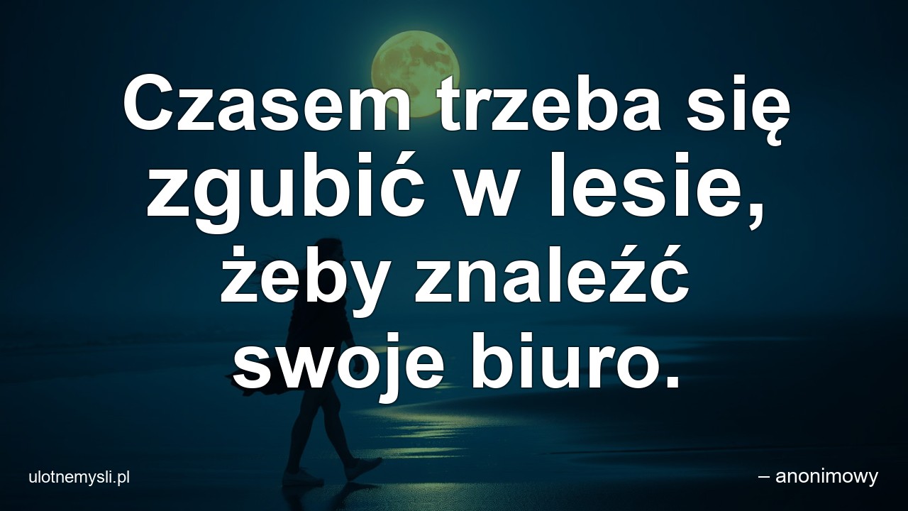 Czasem trzeba się zgubić w lesie,  żeby znaleźć swoje biuro.