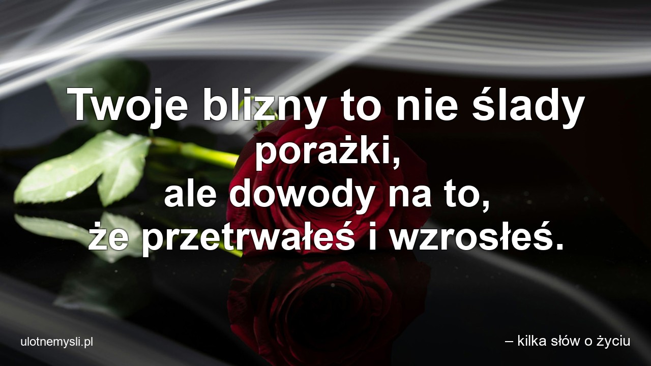 Twoje blizny to nie ślady porażki,  ale dowody na to,  że przetrwałeś i wzrosłeś.