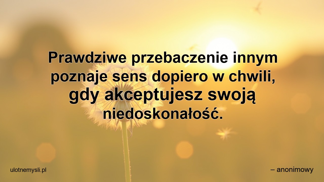 Prawdziwe przebaczenie innym poznaje sens dopiero w chwili,  gdy akceptujesz swoją niedoskonałość. - – anonimowy