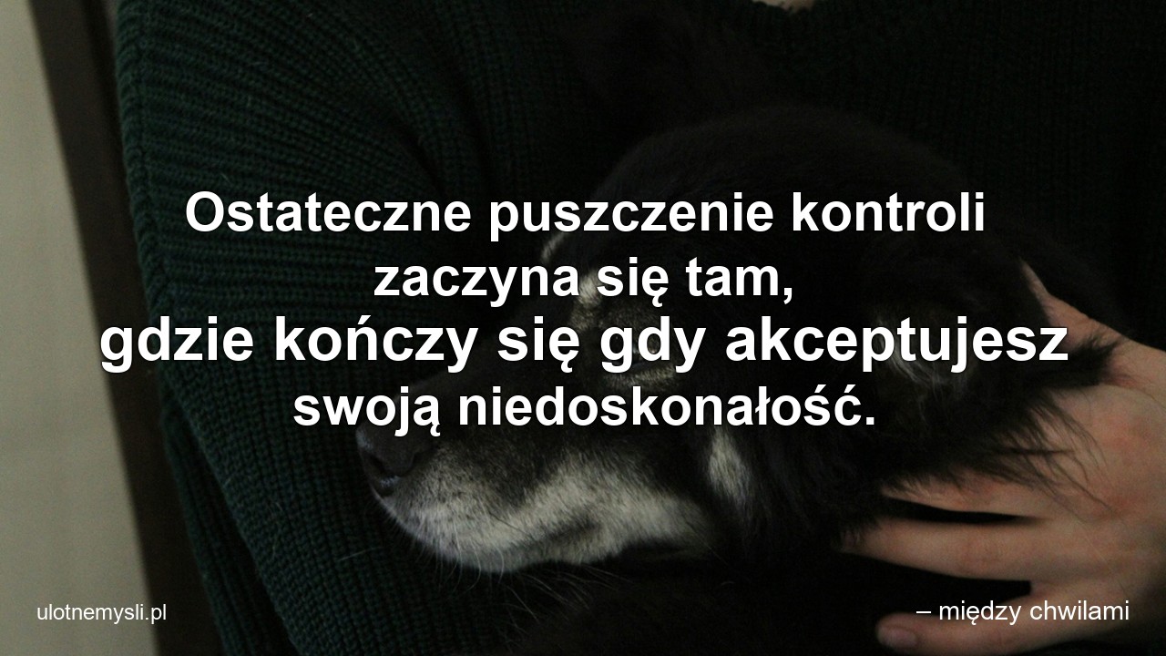 Ostateczne puszczenie kontroli zaczyna się tam,  gdzie kończy się gdy akceptujesz swoją niedoskonałość. - – między chwilami