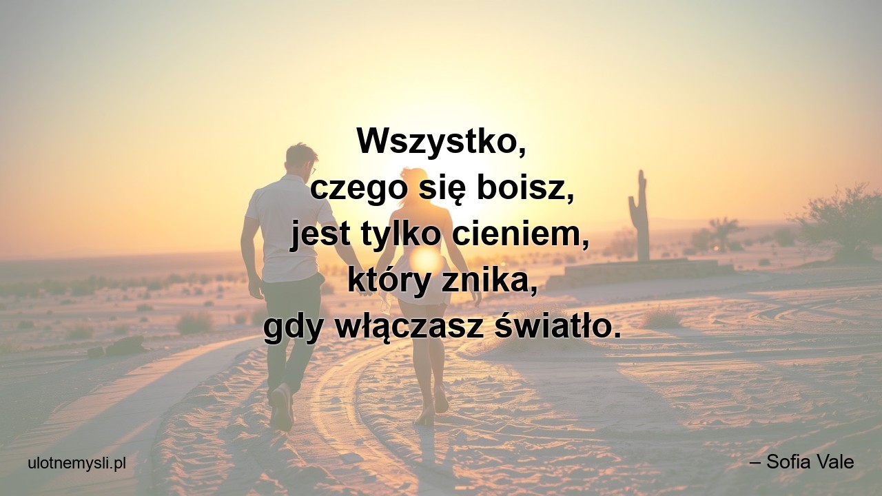 Wszystko,  czego się boisz,  jest tylko cieniem,  który znika,  gdy włączasz światło. - – Sofia Vale