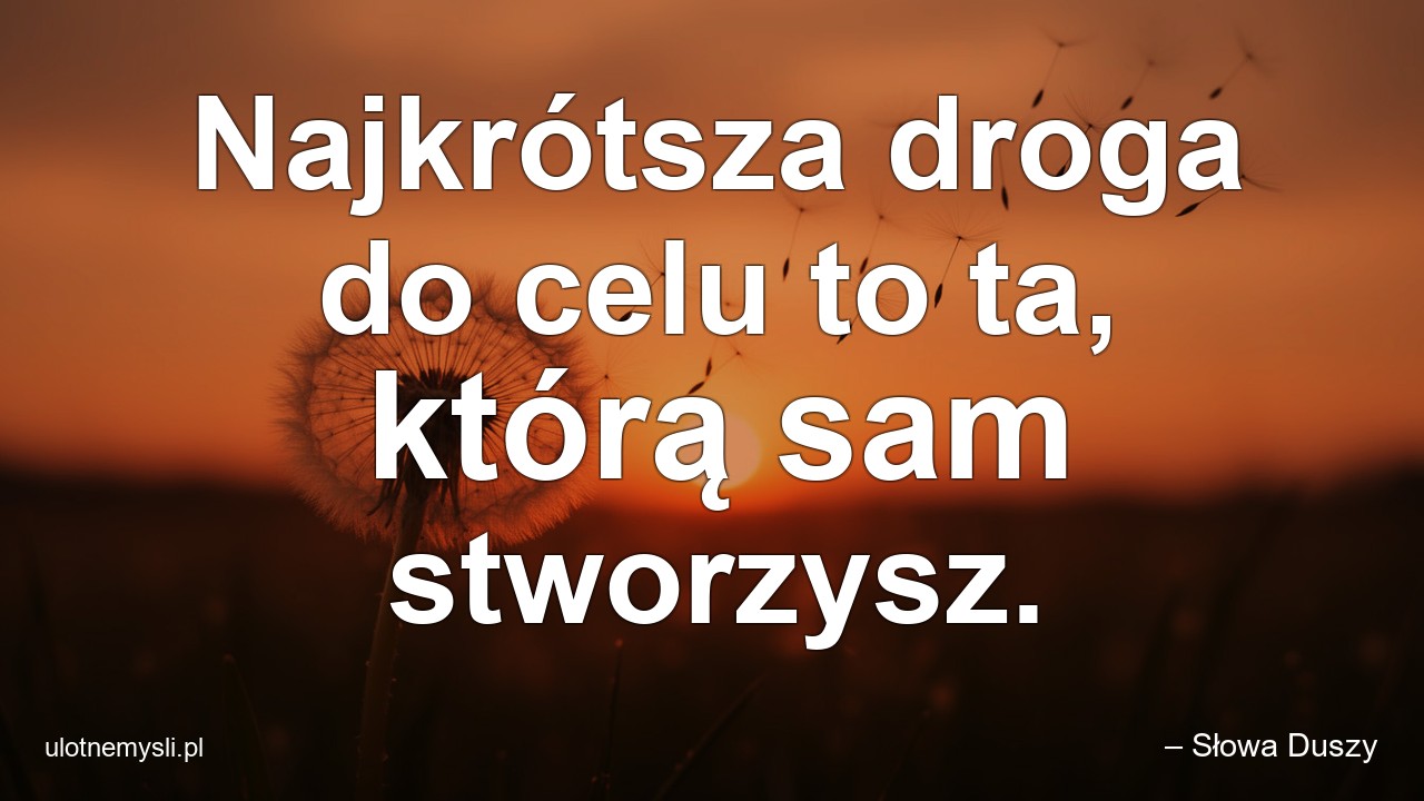 Najkrótsza droga do celu to ta,  którą sam stworzysz.