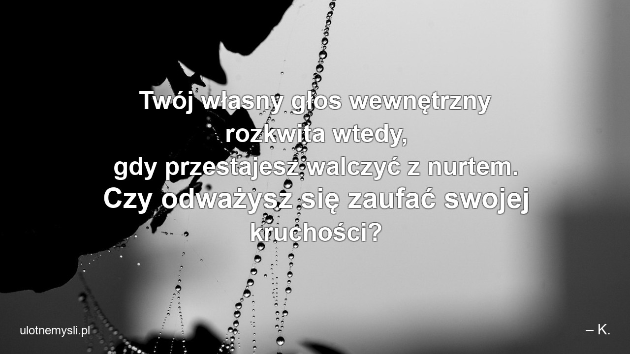 Twój własny głos wewnętrzny rozkwita wtedy,  gdy przestajesz walczyć z nurtem. Czy odważysz się zaufać swojej kruchości?