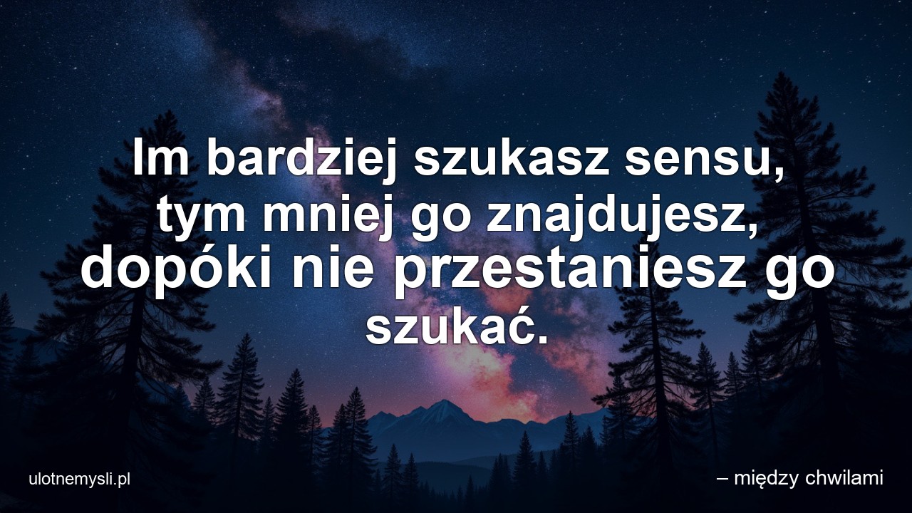 Im bardziej szukasz sensu,  tym mniej go znajdujesz,  dopóki nie przestaniesz go szukać. - – między chwilami