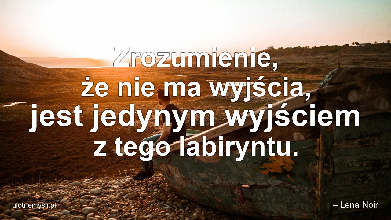 Zrozumienie,  że nie ma wyjścia,  jest jedynym wyjściem z tego labiryntu. - – Lena Noir
