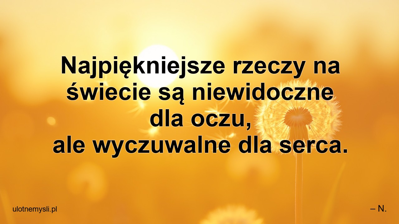 Najpiękniejsze rzeczy na świecie są niewidoczne dla oczu,  ale wyczuwalne dla serca. - – N.