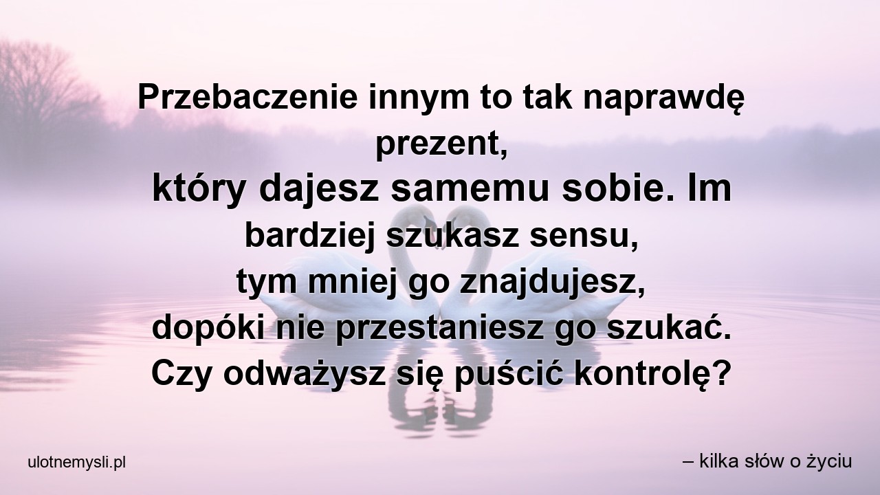 Przebaczenie innym to tak naprawdę prezent,  który dajesz samemu sobie. Im bardziej szukasz sensu,  tym mniej go znajdujesz,  dopóki nie przestaniesz go szukać. Czy odważysz się puścić kontrolę?