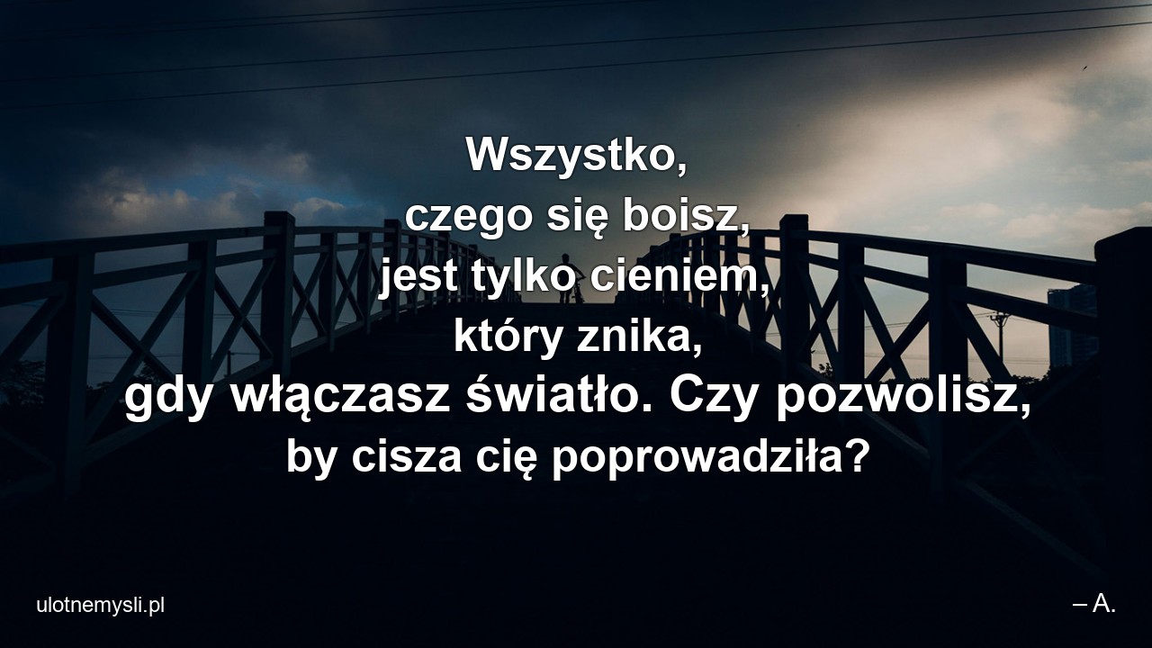 Wszystko,  czego się boisz,  jest tylko cieniem,  który znika,  gdy włączasz światło. Czy pozwolisz,  by cisza cię poprowadziła?