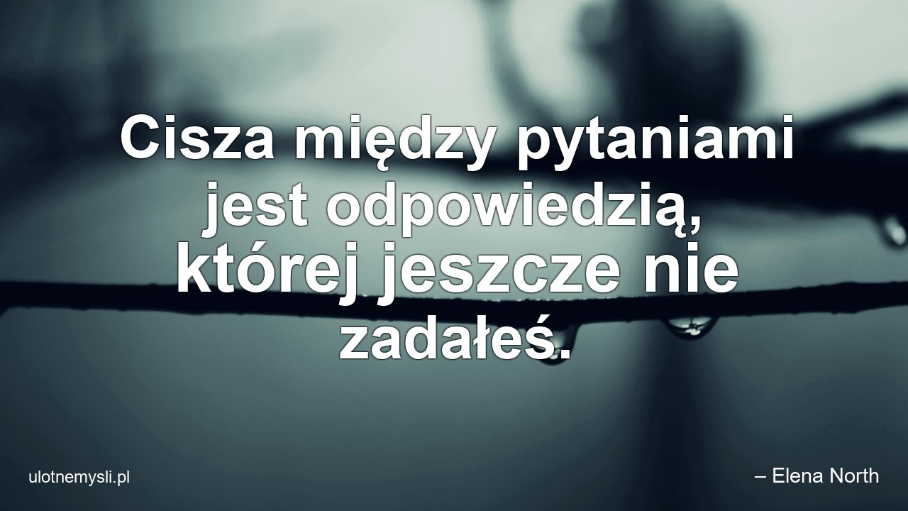 Cisza między pytaniami jest odpowiedzią,  której jeszcze nie zadałeś. - – Elena North
