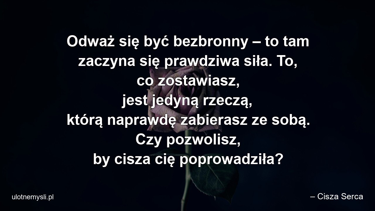 Odważ się być bezbronny – to tam zaczyna się prawdziwa siła. To,  co zostawiasz,  jest jedyną rzeczą,  którą naprawdę zabierasz ze sobą. Czy pozwolisz,  by cisza cię poprowadziła?
