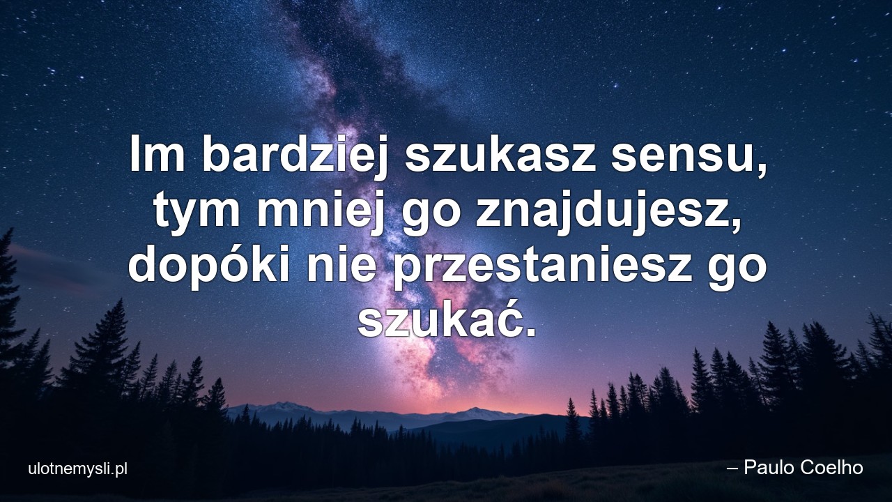 Im bardziej szukasz sensu,  tym mniej go znajdujesz,  dopóki nie przestaniesz go szukać.