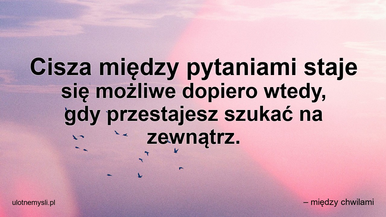 Cisza między pytaniami staje się możliwe dopiero wtedy,  gdy przestajesz szukać na zewnątrz.