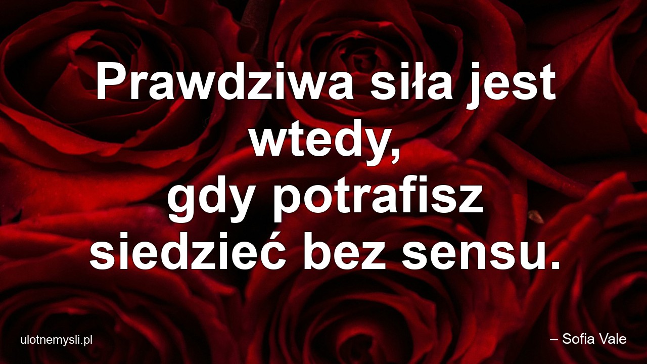 Prawdziwa siła jest wtedy,  gdy potrafisz siedzieć bez sensu.
