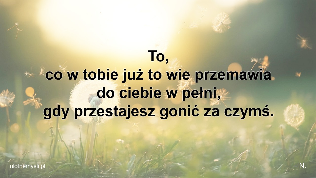 To,  co w tobie już to wie przemawia do ciebie w pełni,  gdy przestajesz gonić za czymś. - – N.