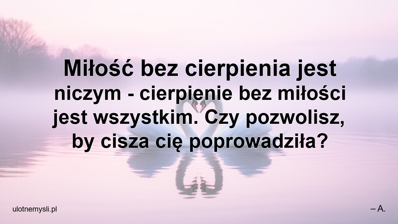 Miłość bez cierpienia jest niczym - cierpienie bez miłości jest wszystkim. Czy pozwolisz,  by cisza cię poprowadziła?