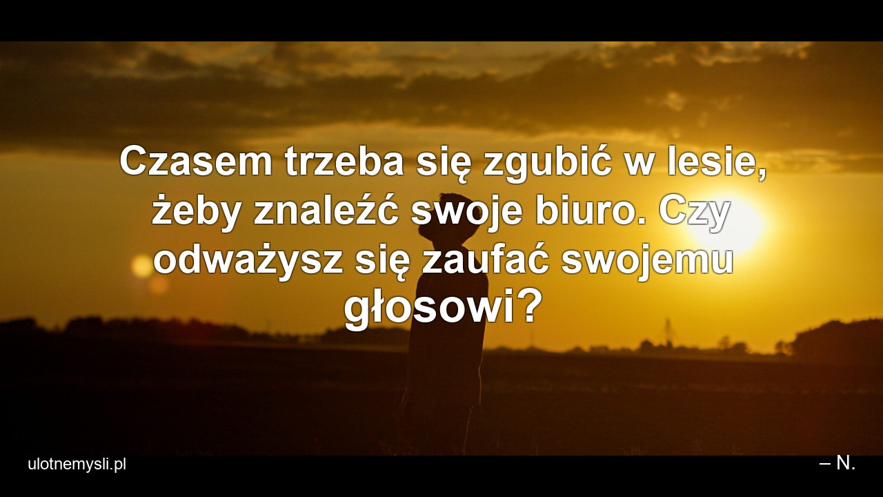 Czasem trzeba się zgubić w lesie,  żeby znaleźć swoje biuro. Czy odważysz się zaufać swojemu głosowi?