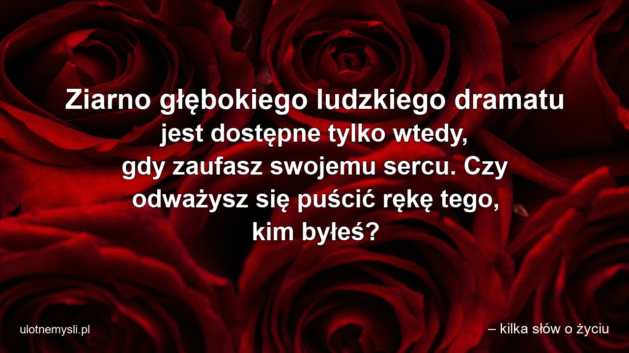 Ziarno głębokiego ludzkiego dramatu jest dostępne tylko wtedy,  gdy zaufasz swojemu sercu. Czy odważysz się puścić rękę tego,  kim byłeś? - – kilka słów o życiu