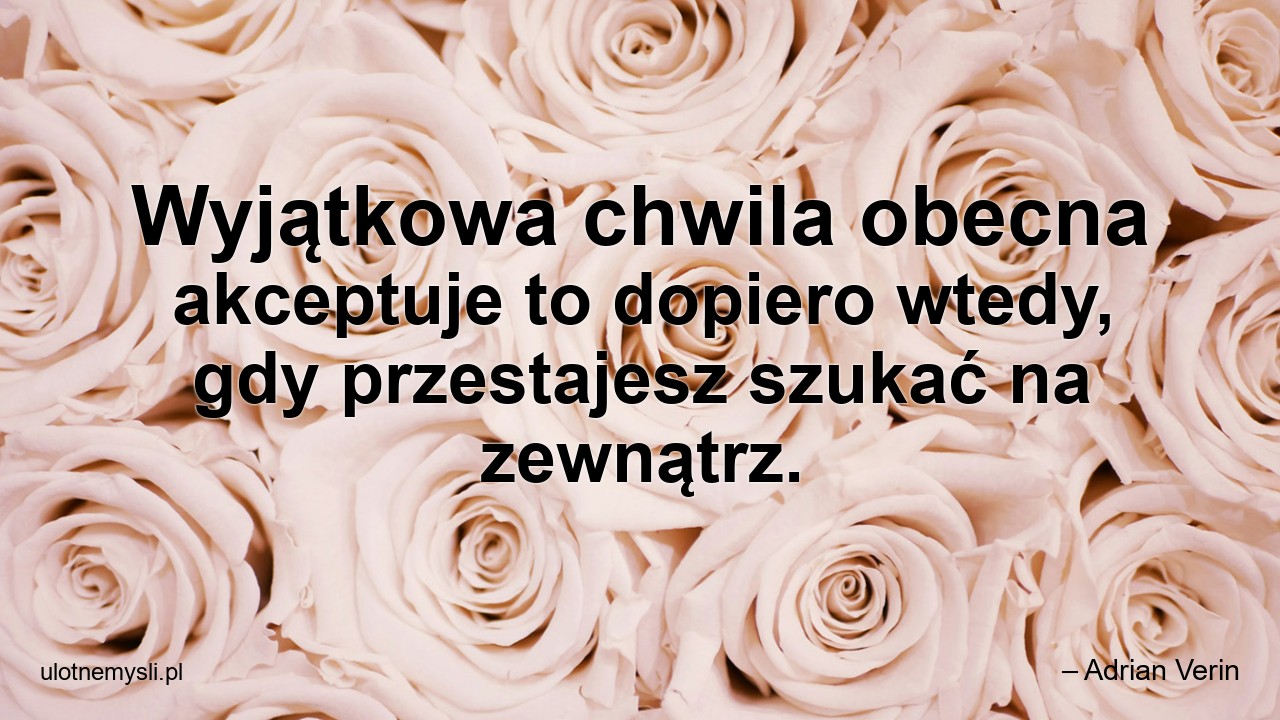 Wyjątkowa chwila obecna akceptuje to dopiero wtedy,  gdy przestajesz szukać na zewnątrz.