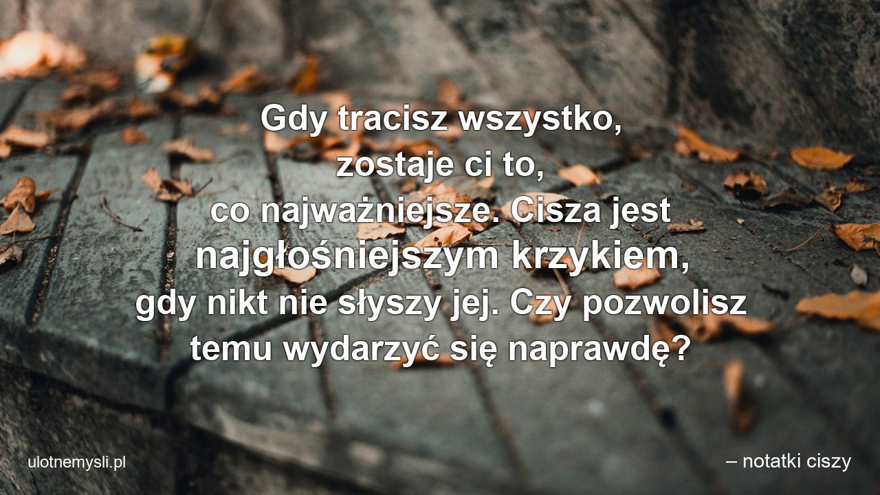 Gdy tracisz wszystko,  zostaje ci to,  co najważniejsze. Cisza jest najgłośniejszym krzykiem,  gdy nikt nie słyszy jej. Czy pozwolisz temu wydarzyć się naprawdę? - – notatki ciszy