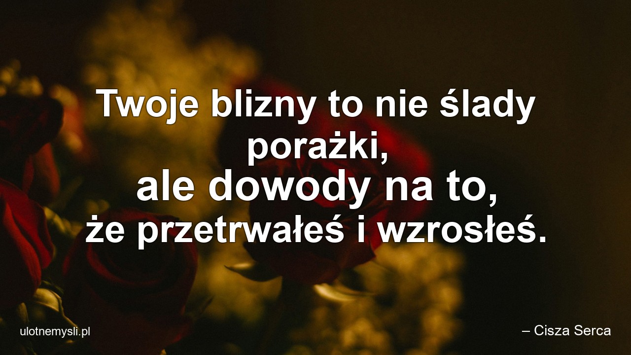 Twoje blizny to nie ślady porażki,  ale dowody na to,  że przetrwałeś i wzrosłeś. - – Cisza Serca
