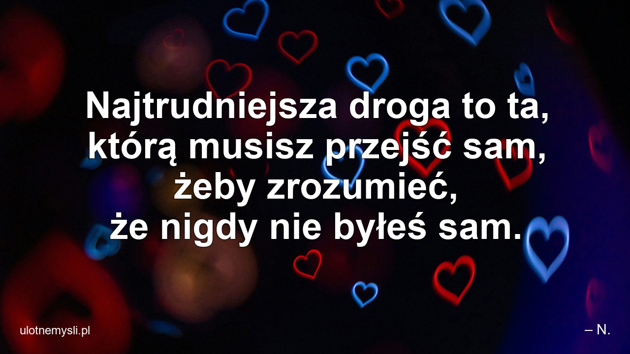 Najtrudniejsza droga to ta,  którą musisz przejść sam,  żeby zrozumieć,  że nigdy nie byłeś sam. - – N.