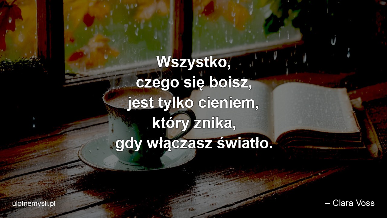 Wszystko,  czego się boisz,  jest tylko cieniem,  który znika,  gdy włączasz światło. - – Clara Voss