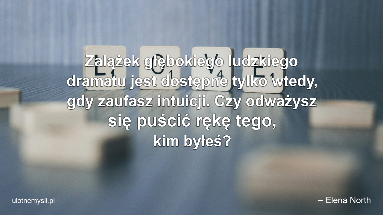 Zalążek głębokiego ludzkiego dramatu jest dostępne tylko wtedy,  gdy zaufasz intuicji. Czy odważysz się puścić rękę tego,  kim byłeś? - – Elena North