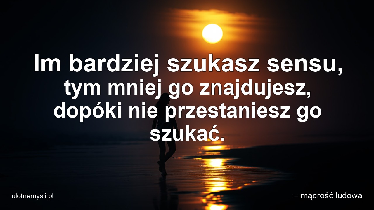 Im bardziej szukasz sensu,  tym mniej go znajdujesz,  dopóki nie przestaniesz go szukać.