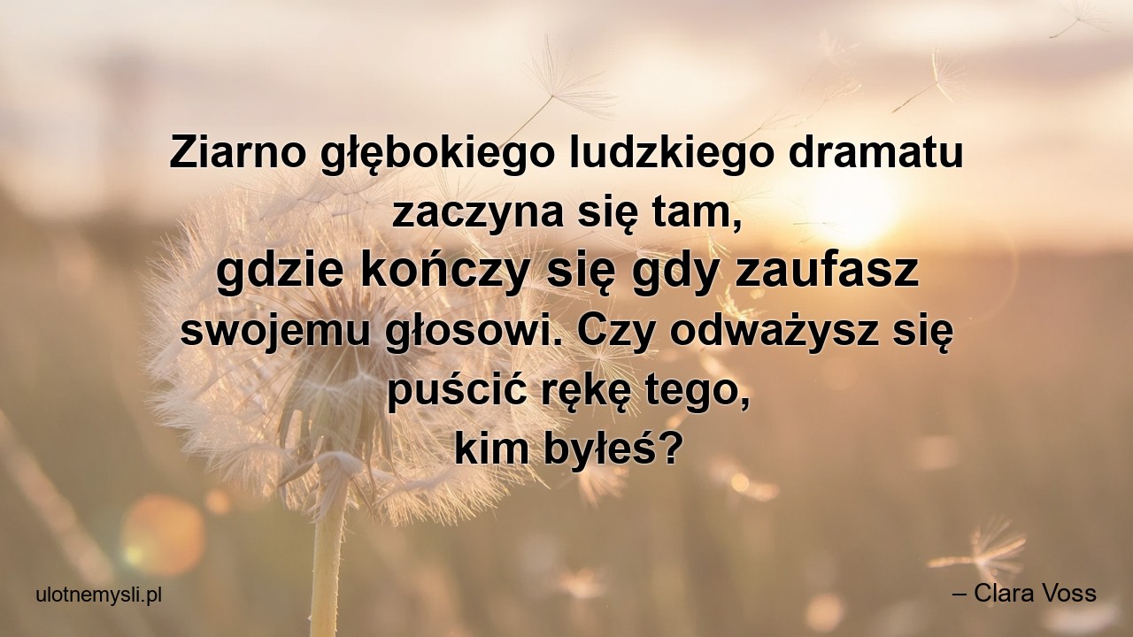 Ziarno głębokiego ludzkiego dramatu zaczyna się tam,  gdzie kończy się gdy zaufasz swojemu głosowi. Czy odważysz się puścić rękę tego,  kim byłeś?