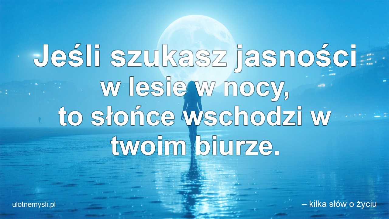 Jeśli szukasz jasności w lesie w nocy,  to słońce wschodzi w twoim biurze.