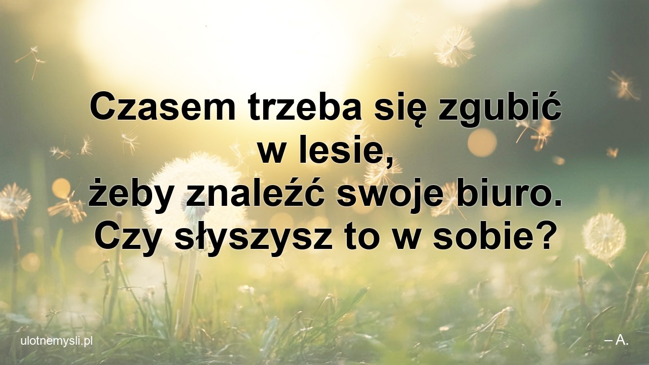 Czasem trzeba się zgubić w lesie,  żeby znaleźć swoje biuro. Czy słyszysz to w sobie?