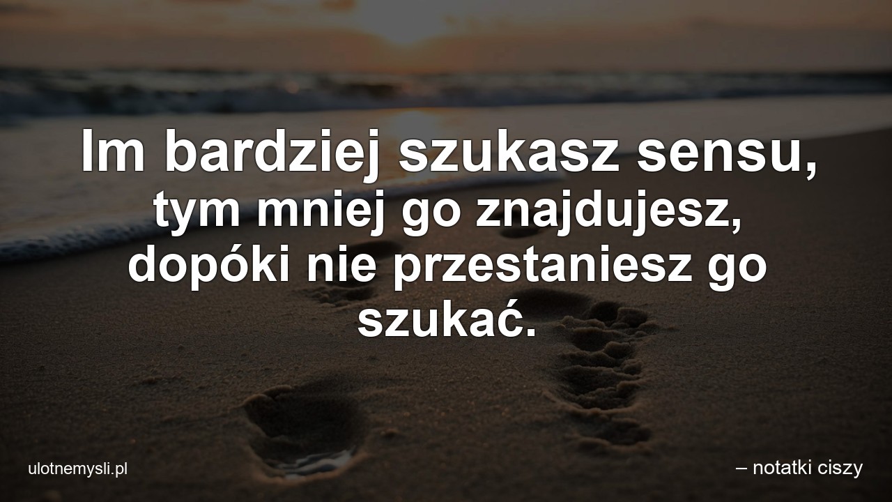 Im bardziej szukasz sensu,  tym mniej go znajdujesz,  dopóki nie przestaniesz go szukać. - – notatki ciszy
