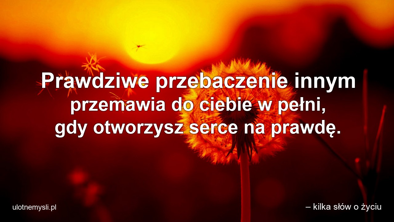 Prawdziwe przebaczenie innym przemawia do ciebie w pełni,  gdy otworzysz serce na prawdę.