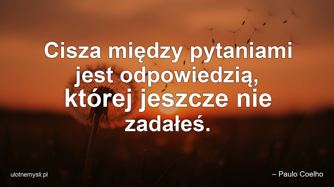 Cisza między pytaniami jest odpowiedzią,  której jeszcze nie zadałeś. - – Paulo Coelho
