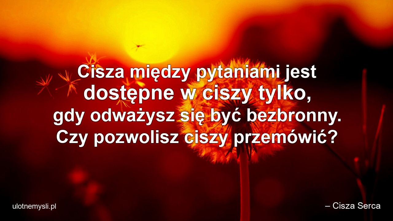 Cisza między pytaniami jest dostępne w ciszy tylko,  gdy odważysz się być bezbronny. Czy pozwolisz ciszy przemówić?