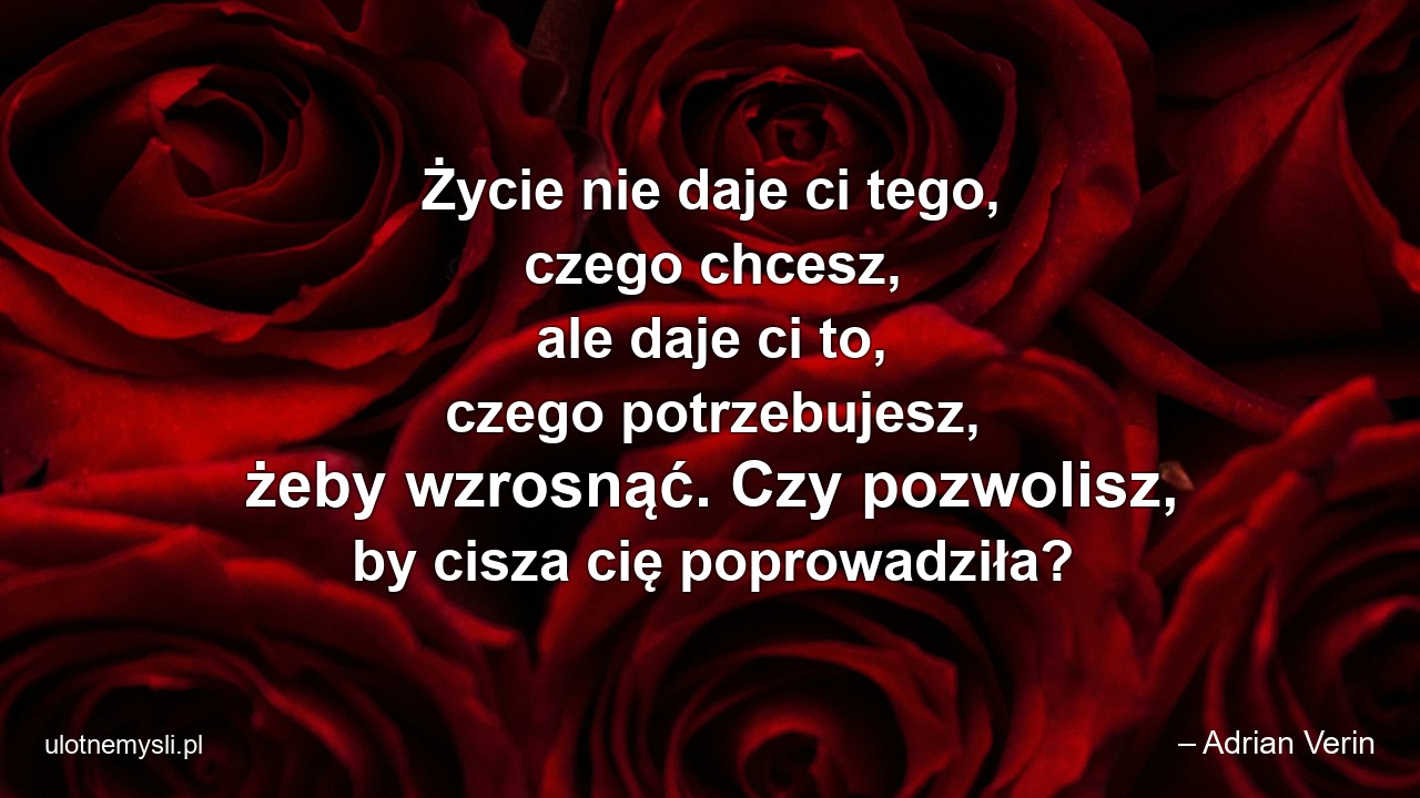 Życie nie daje ci tego,  czego chcesz,  ale daje ci to,  czego potrzebujesz,  żeby wzrosnąć. Czy pozwolisz,  by cisza cię poprowadziła?