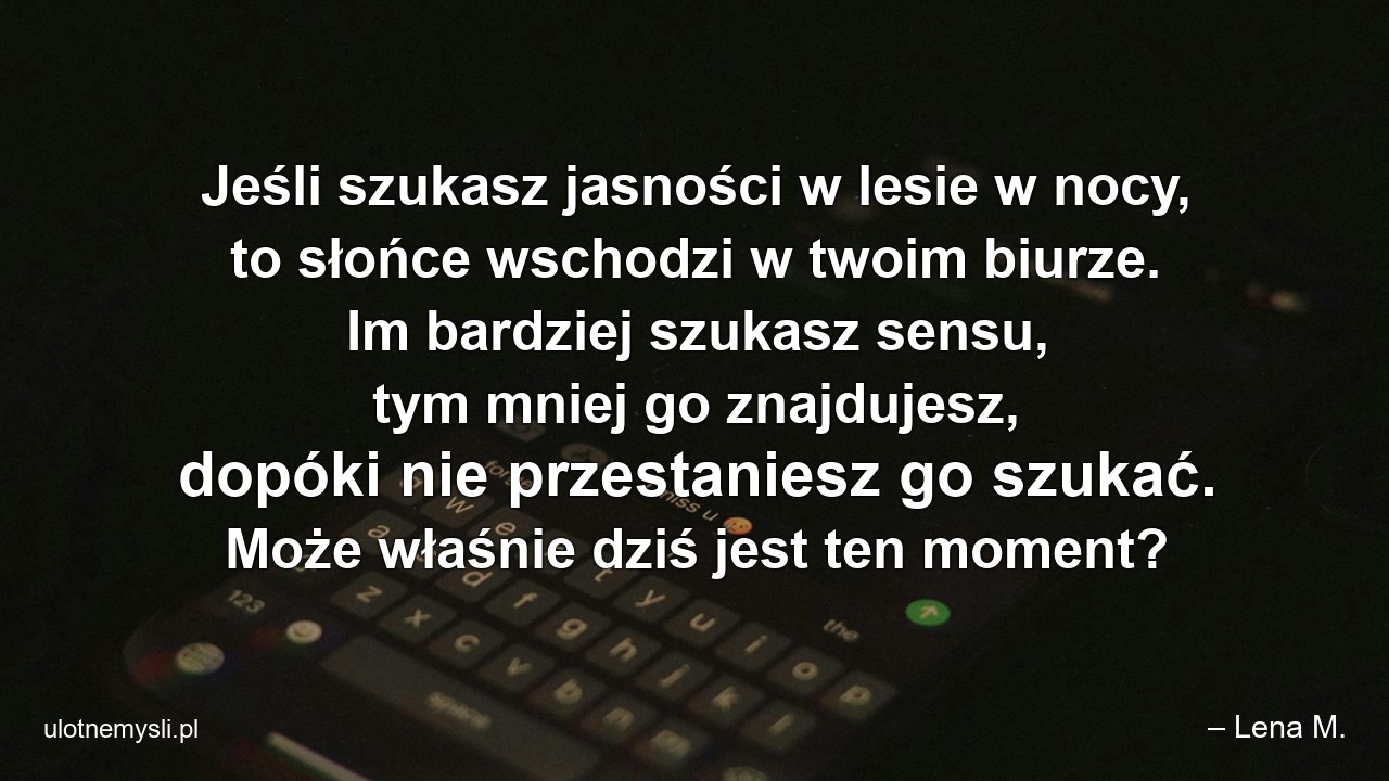 Jeśli szukasz jasności w lesie w nocy,  to słońce wschodzi w twoim biurze. Im bardziej szukasz sensu,  tym mniej go znajdujesz,  dopóki nie przestaniesz go szukać. Może właśnie dziś jest ten moment?