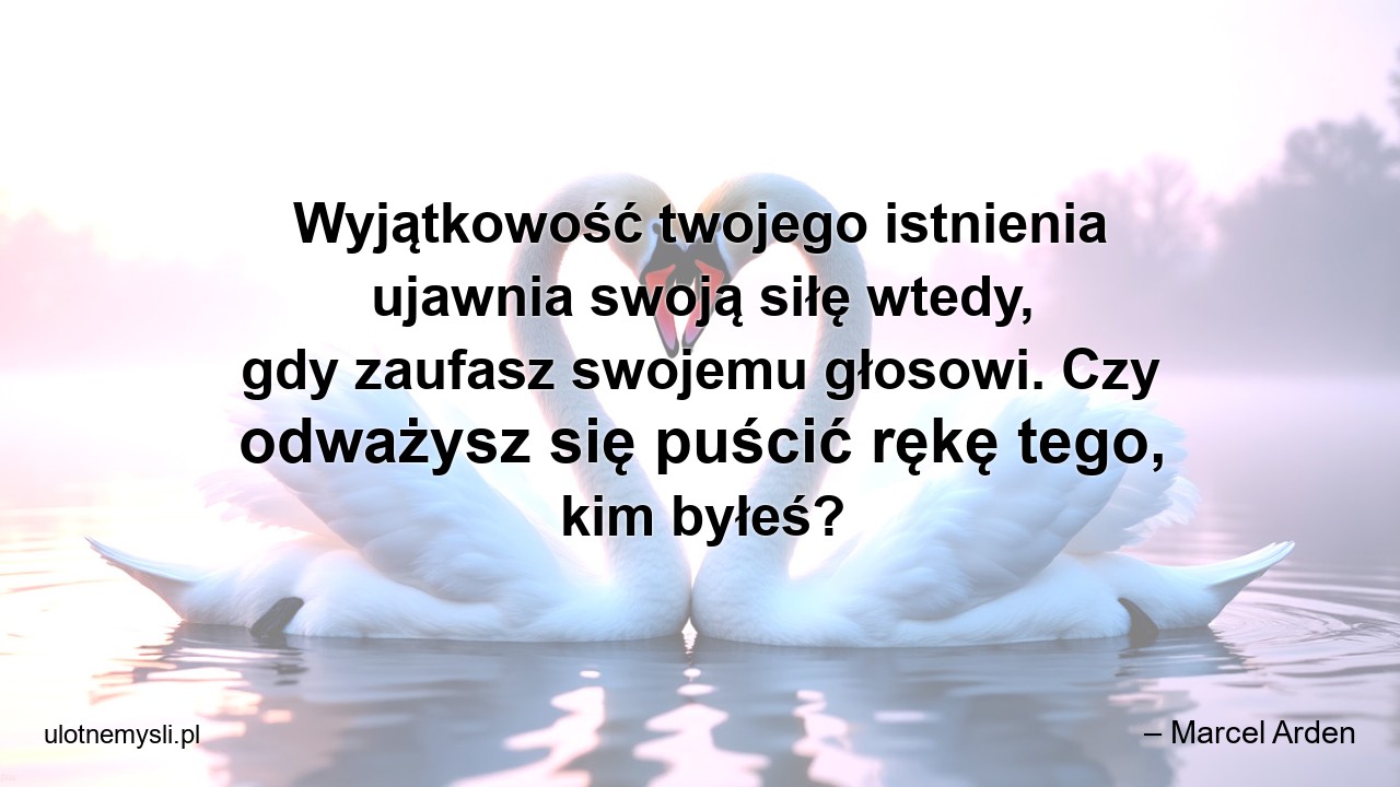 Wyjątkowość twojego istnienia ujawnia swoją siłę wtedy,  gdy zaufasz swojemu głosowi. Czy odważysz się puścić rękę tego,  kim byłeś?