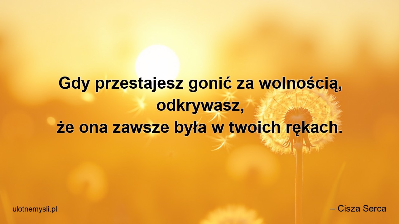Gdy przestajesz gonić za wolnością,  odkrywasz,  że ona zawsze była w twoich rękach.