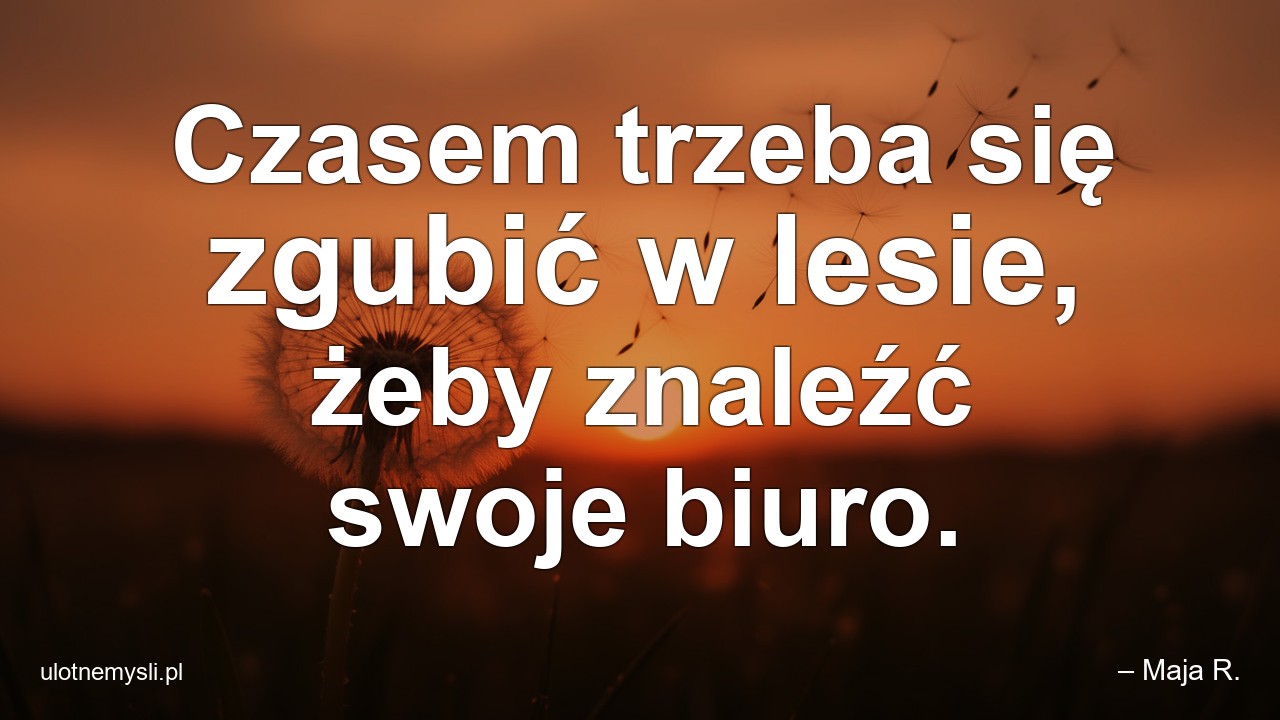 Czasem trzeba się zgubić w lesie,  żeby znaleźć swoje biuro. - – Maja R.