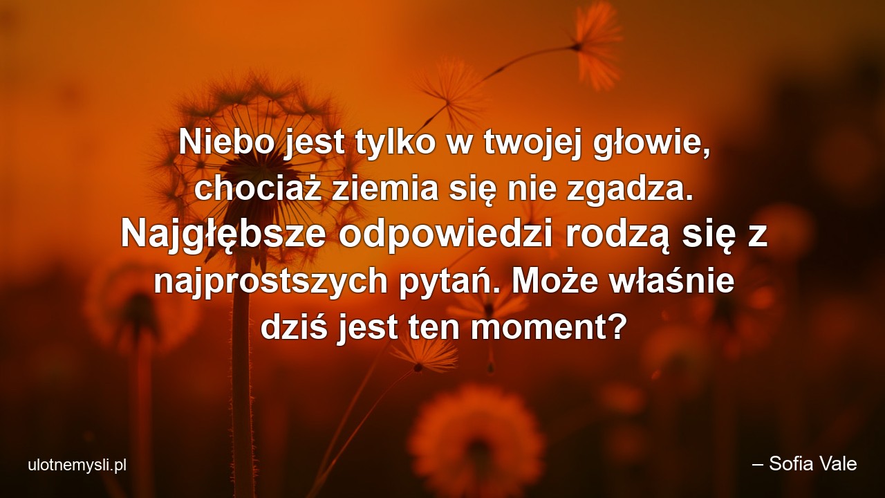 Niebo jest tylko w twojej głowie,  chociaż ziemia się nie zgadza. Najgłębsze odpowiedzi rodzą się z najprostszych pytań. Może właśnie dziś jest ten moment? - – Sofia Vale