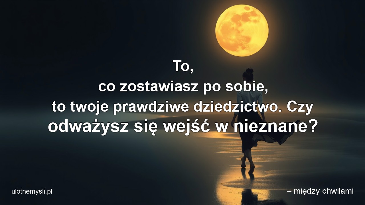 To,  co zostawiasz po sobie,  to twoje prawdziwe dziedzictwo. Czy odważysz się wejść w nieznane? - – między chwilami