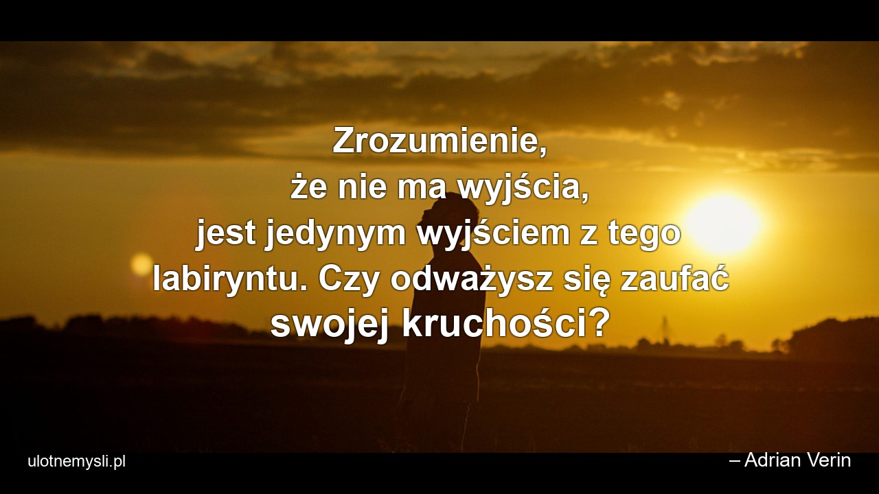 Zrozumienie,  że nie ma wyjścia,  jest jedynym wyjściem z tego labiryntu. Czy odważysz się zaufać swojej kruchości? - – Adrian Verin
