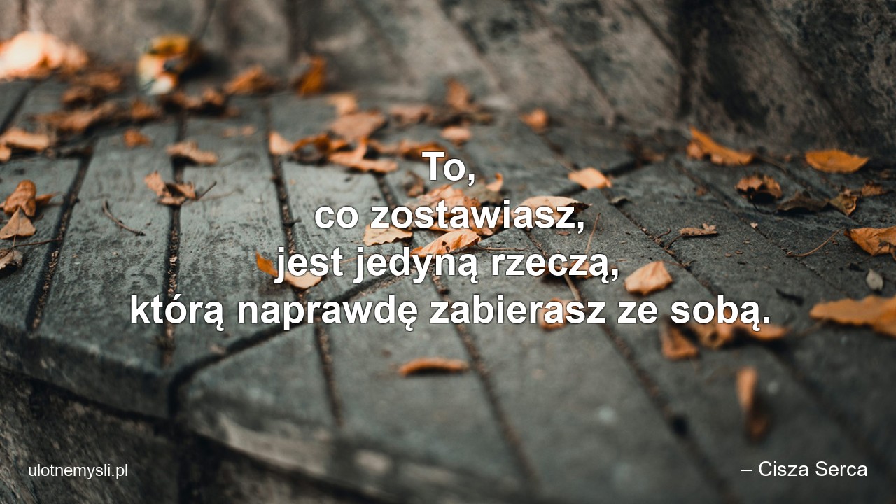 To,  co zostawiasz,  jest jedyną rzeczą,  którą naprawdę zabierasz ze sobą. - – Cisza Serca