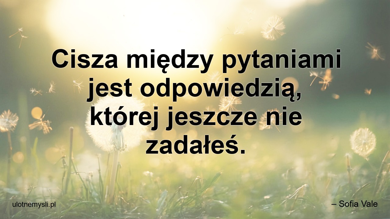 Cisza między pytaniami jest odpowiedzią,  której jeszcze nie zadałeś. - – Sofia Vale