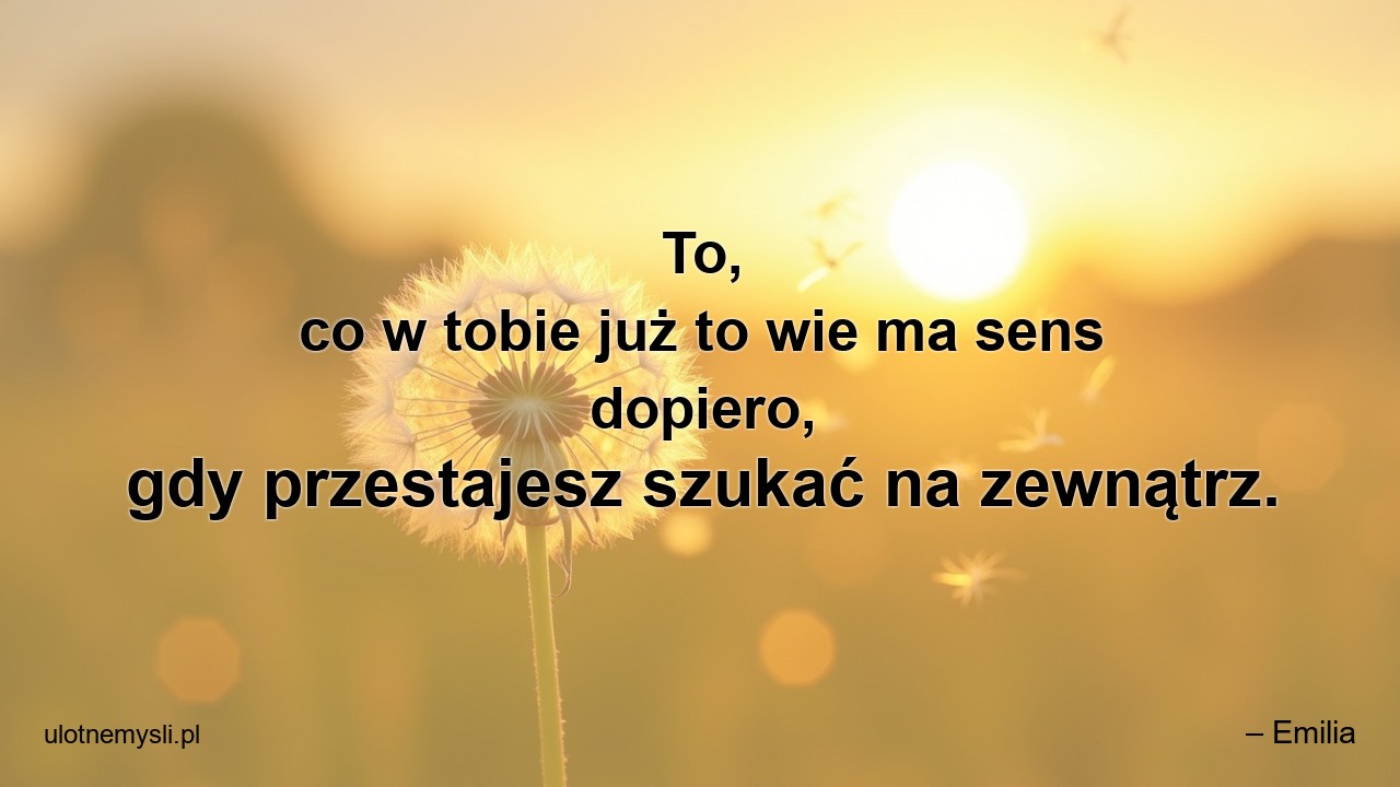 To,  co w tobie już to wie ma sens dopiero,  gdy przestajesz szukać na zewnątrz. - – Emilia